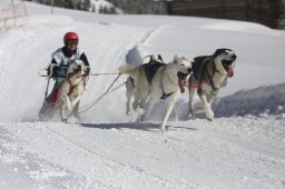 Kandersteg 2013